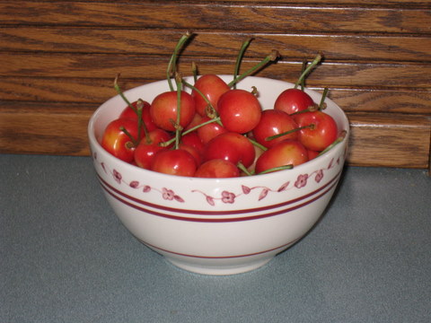 a bowl of Rainier cherries