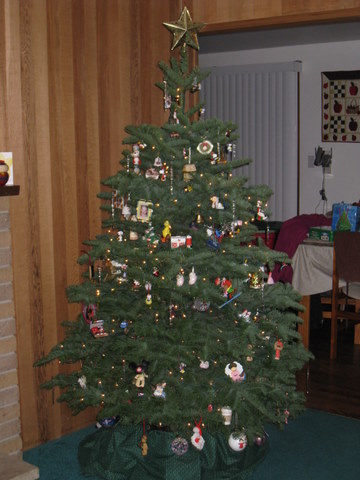 Our tree, 2009