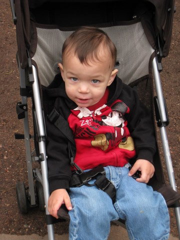 Rerun in the stroller