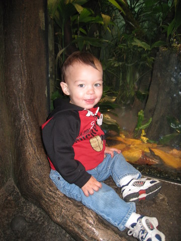 Rerun and the dart frogs