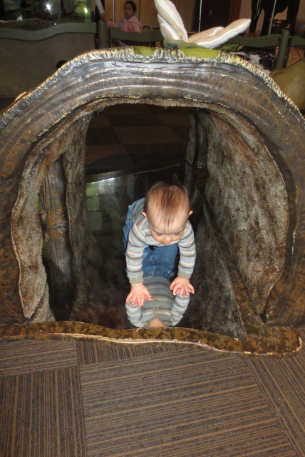 Crawling through the log tunnel
