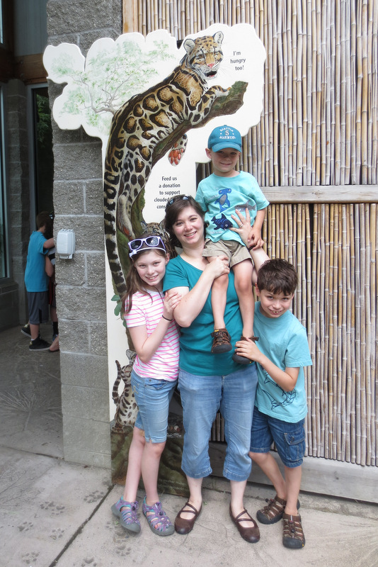 At the clouded leopards